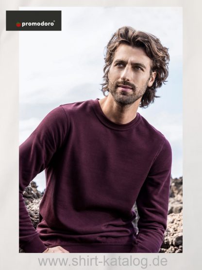 16515-2199-Promodoro-Men’sSweater-80-20