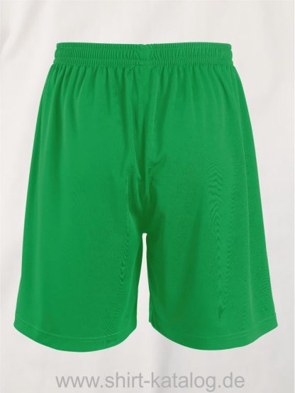 20071-Sols-Basic-Shorts-kelly-green-back-view