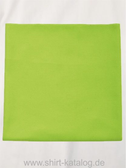 27189-Microfibre-Towel-Atoll-50-apple-green