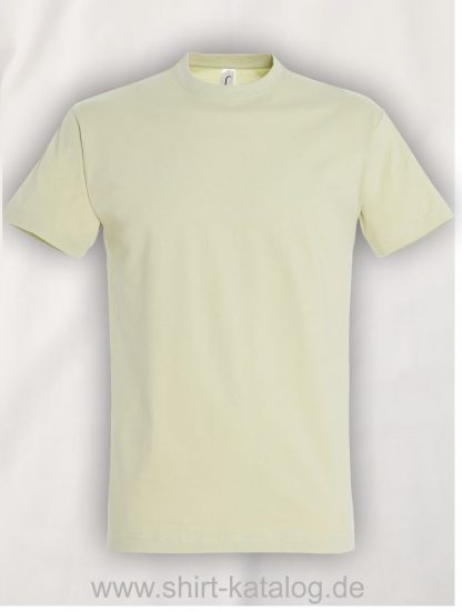 Sol's Imperial T-Shirt Sage-Green