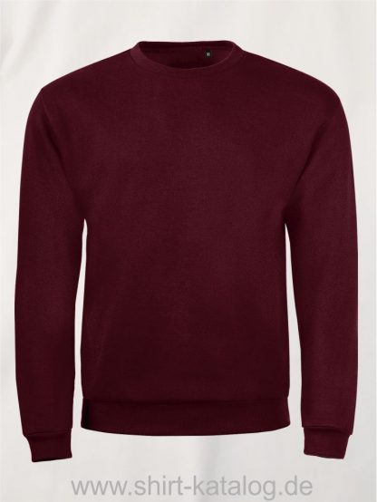 25906-Sols-Sweatshirt-spider-oxblood