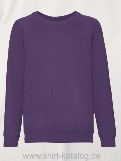 Classic-Raglan-Sweat-Kids-Purple