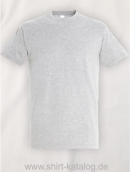 150-Sols-Regent-T-Shirt-Ash