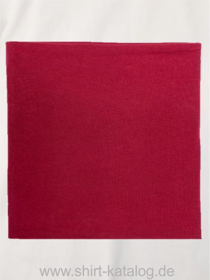 Unisex-Organic-Bandana-berry